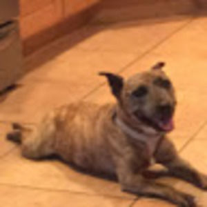 Meet your Posher, Marisa